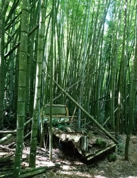 鳶嘴西稜O走（大崠山、長壽山、鳶嘴山）1073402