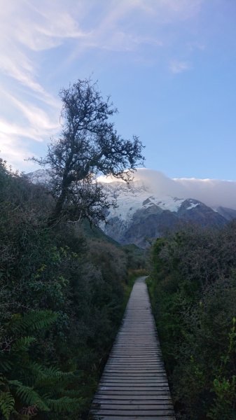 庫克山下輕健行～風和日麗篇2543188