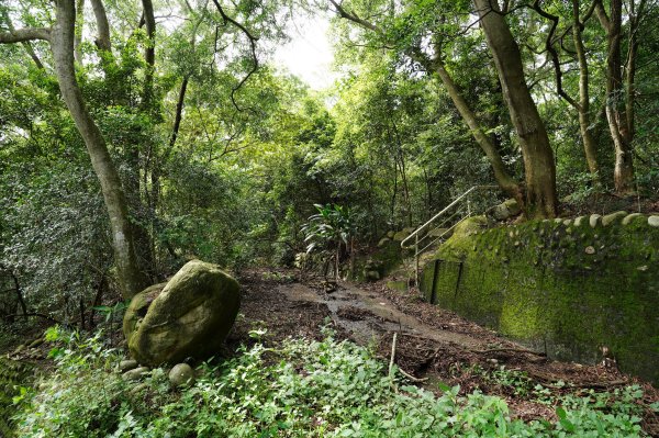 苗栗 三義 枕頭山、南片山2801750