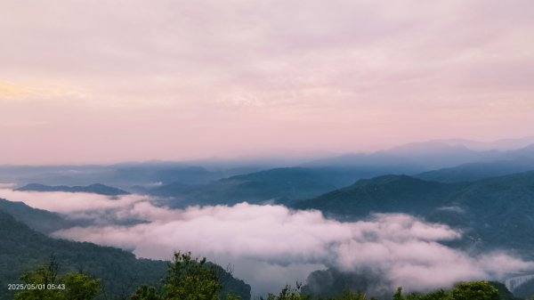 翡翠水庫壩頂 #火燒雲雲海 #日出雲海 #鱷魚島 #藍腹鷴 4/292773786