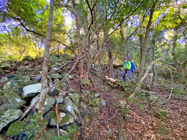 八仙山駐在所、東八仙山、八仙山O型走  1133167