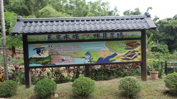 頂泰山巖>崎頂步道>應化大排生態園區>山頂公園>瓊子湖山與尖凍山步道>辭修公園  很優質的步道