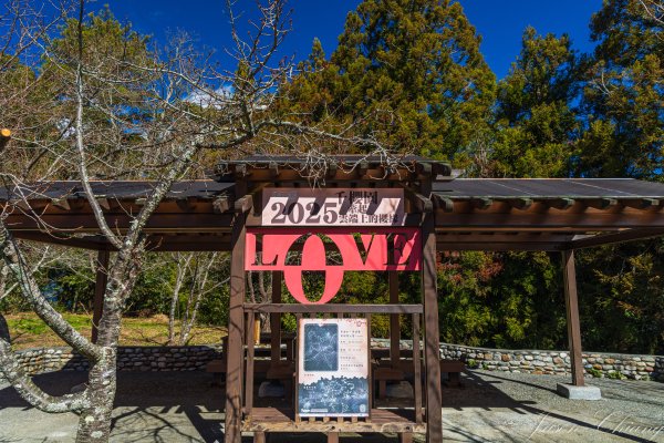 福壽山千櫻園櫻花季初開2717432