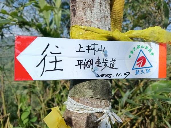 雙溪區東內平林山+上平林山+平林山去回2952478