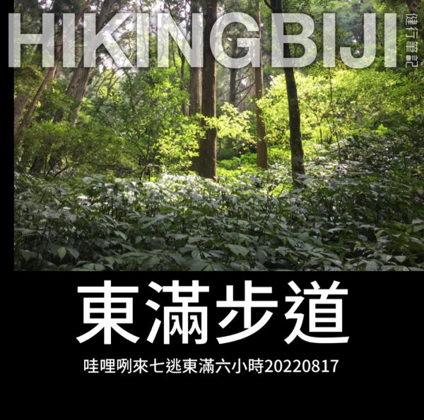 哇哩咧來七逃東滿步道六小時11108171808749