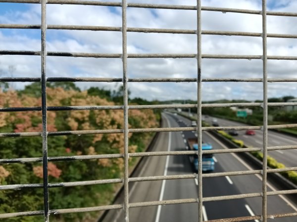 頭份鎮鹿廚坑步道+鹿廚坑山2937986