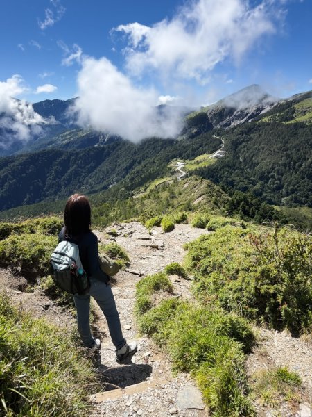 爬不膩的 合歡北峰2907037