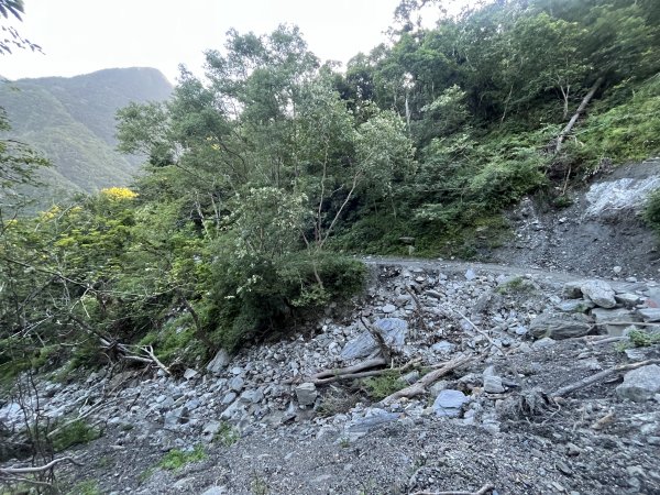 [玉山尋寶任務-03/12] 2025_0810 瓦拉米步道2857366