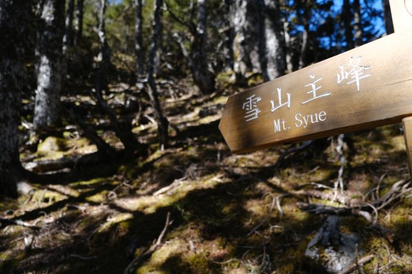 從三六九山莊到雪山主峰