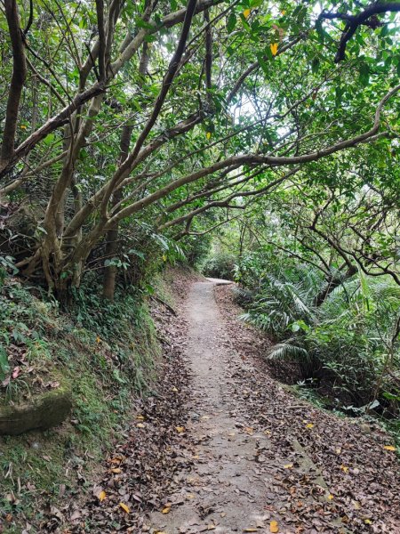 槓子寮砲台、槓子寮山步道(龍崗步道)-(基隆)臺灣百大必訪步道2248949