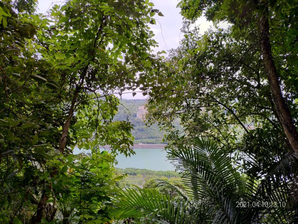 溪洲山(溪洲公園上福山巖下)1344271