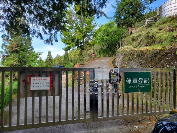 郡大碰碰車952487