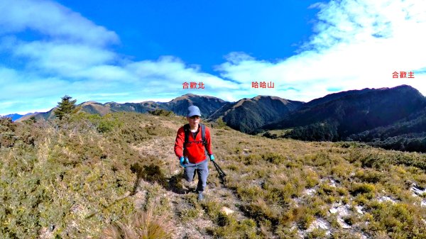 貼近山林來走個稍微不一樣風景的合歡山2989396
