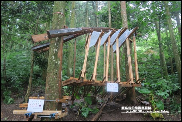 東眼山打卡新亮點森林裡的木構裝置藝術1021789