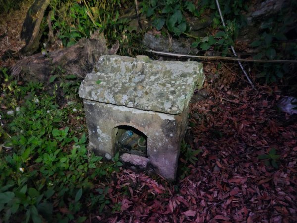 20241214竹崎15連峰(四大天王山到大湖尖山路況荒涼)2668991