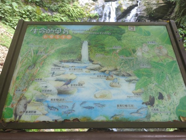 2025.08.09－新寮瀑布2856192