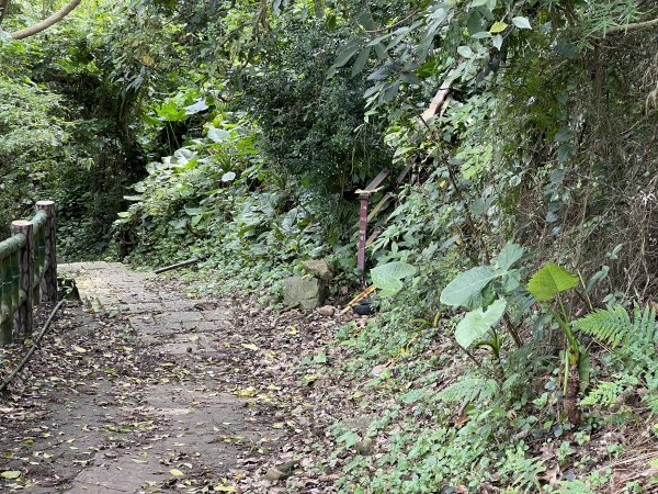 紗帽山半嶺水圳步道2650042