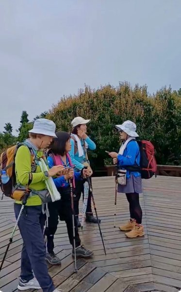阿里山小笠原祝山森林遊3091742