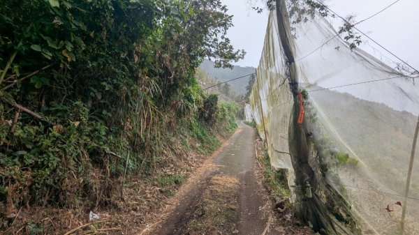 橫龍山、橫龍古道2682934