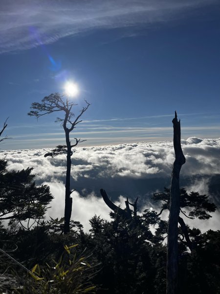 北大武稜線雲海景觀3010131