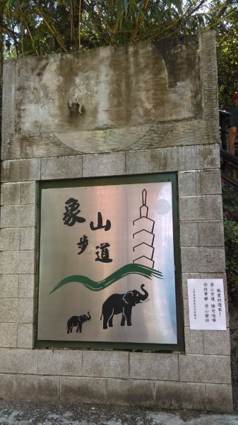 【臺北大縱走6】象山南港山縱走九五峰虎山942803