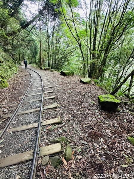 特富野古道2846013
