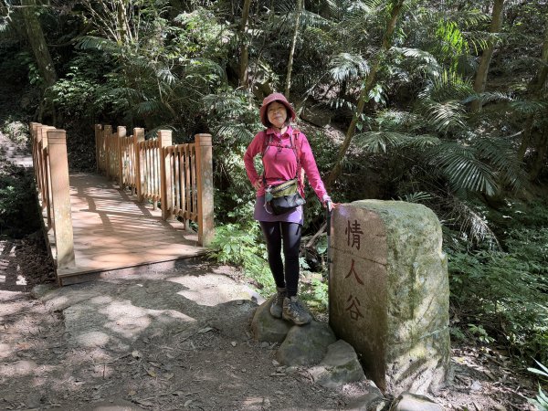 鳴鳳山-錫隘古道大O繞-202601252991407