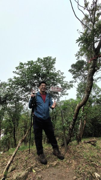 基隆聖稜線-陡不停的五四大縱走2787816