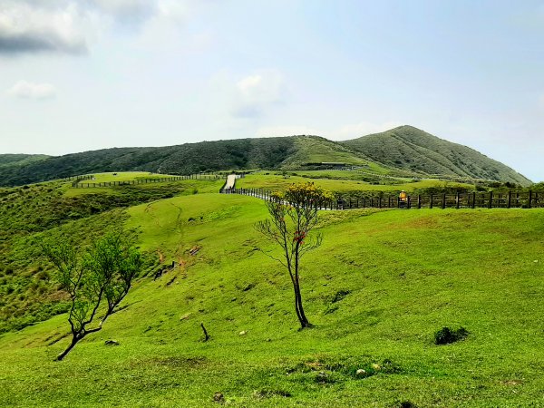 走遍陽明山：擎天崗系｜景遠心自闊，潺潺溪水聲洗去一身憂2113827