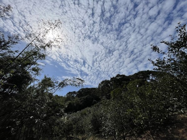 鳳鳴越嶺山佳2708078