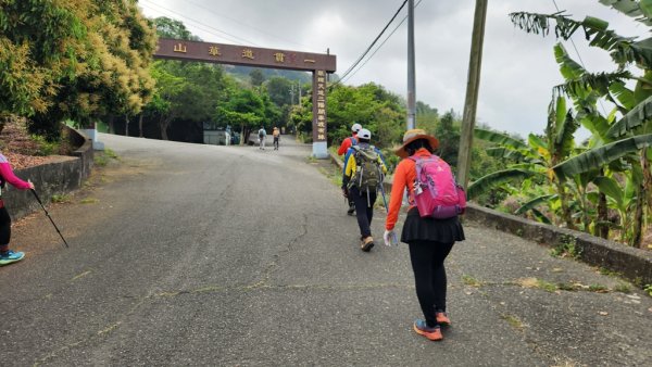 【大岡山】盤龍峽谷一線天2757981