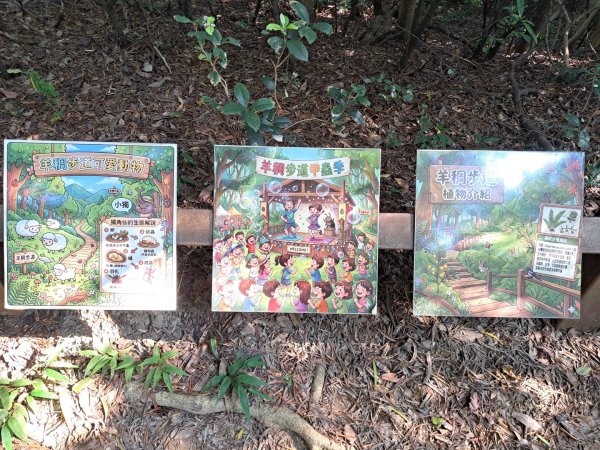 桃園羊稠森林，虎頭山，福山巖，石門山步道3128063