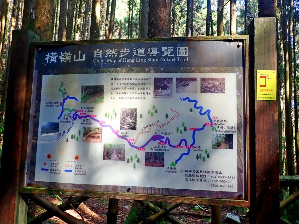 橫嶺山連走鳶嘴山2019/4/30575776