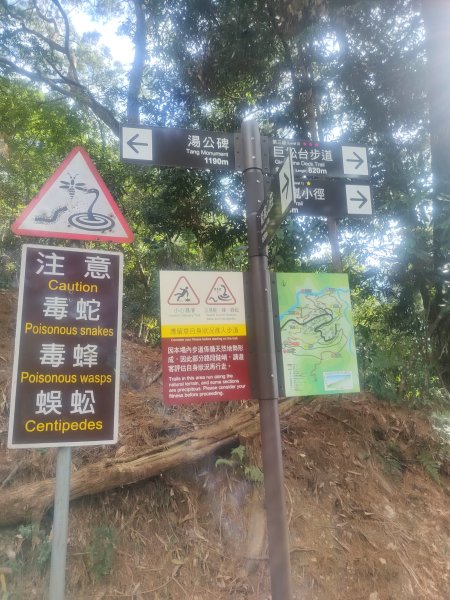 惠蓀湯公啤&小嵐2697848