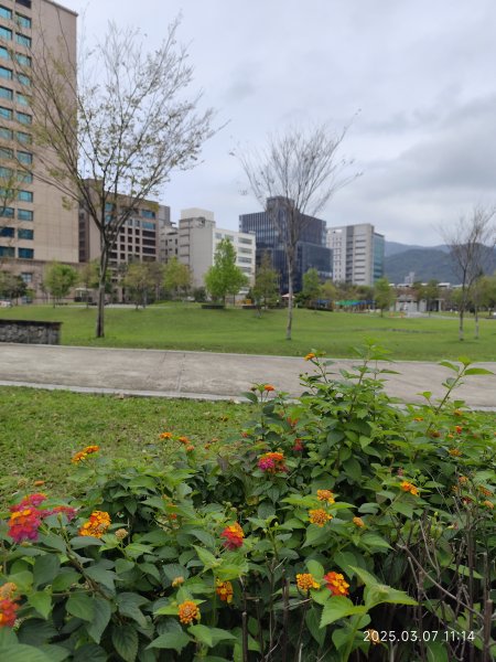 內湖大港墘公園、西湖圖書館、湖光教會、737巷美食街2729399