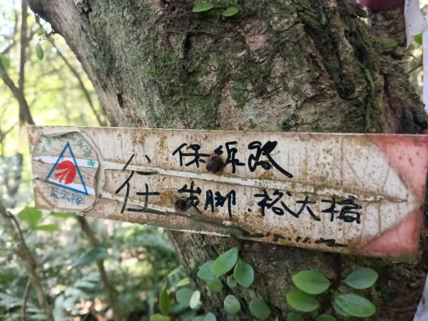 基隆市界寮縱走之七分寮山+友蚋山+印地安頭像+七汐農路O型2967937