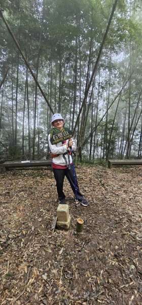 石壁山&嘉南雲峰2876446