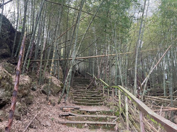 2023_0429_挑筍古道2138272