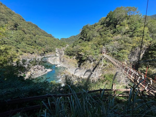 20231115_秀巒軍艦岩步道（森遊竹縣）2762978