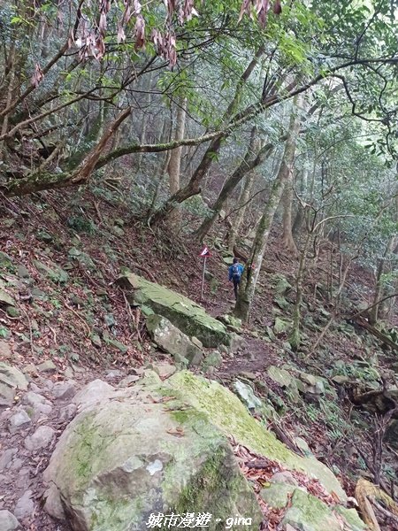 【苗栗南庄】裊裊雲霧台版富士山。 小百岳集起來。編號 34小百岳~加里山。 【台灣小百岳】 我玩登了1902991