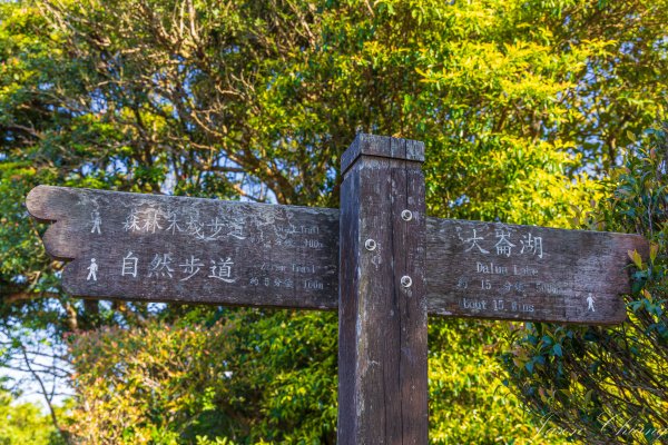 [台北]大崙頭山、碧山巖、忠勇山2746174