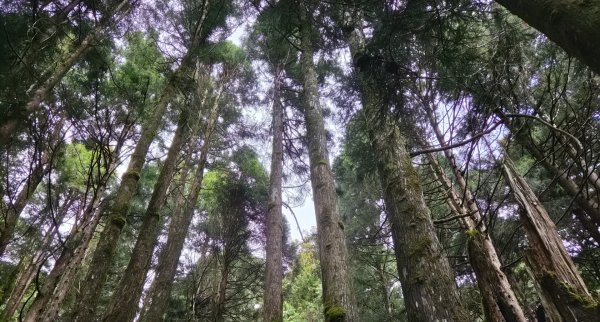 【中級山】宜蘭小百岳，三星山3131432