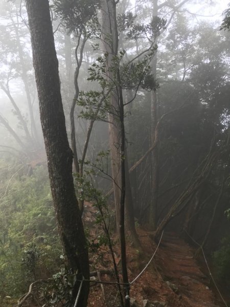 台中名產鳶嘴山稍來531907