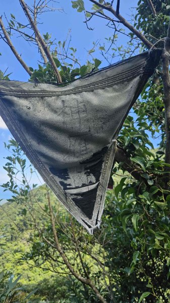 20250820金童玉女月牙天沖(金童嶺-玉女嶺-女王尖-月牙嶺-瑞光嶺-明月崙-清淨嶺-文筆嶺-清2872755