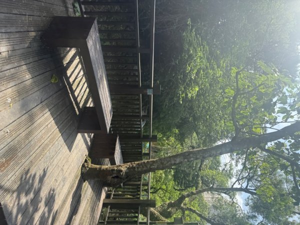 偷吃步之台北天際線第十段2777811