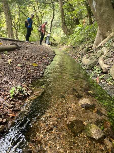 如墨暈染的春日邂逅｜中山樓墨染櫻 × 北投步道探花記2853880