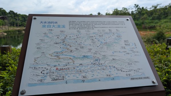 20250629大湳森林公園好所在2823581