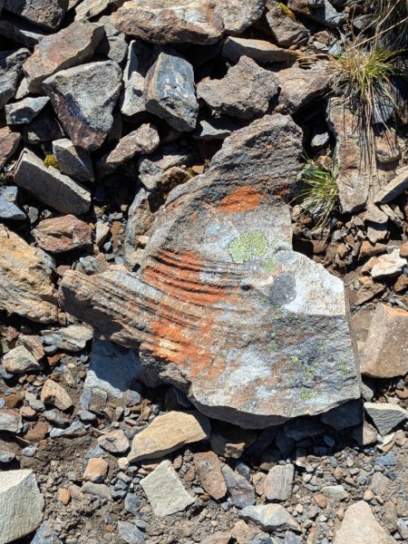 20250927雪山主東峰2916245