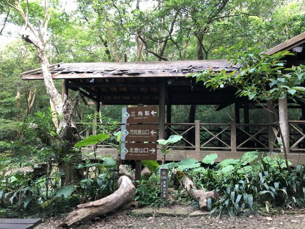 台灣小百岳No.080 里龍山908209