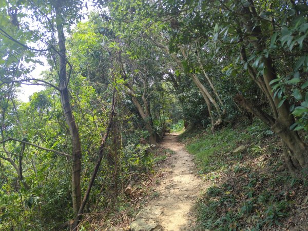 2025.08.30－微笑山線：【大棟山系】2874484